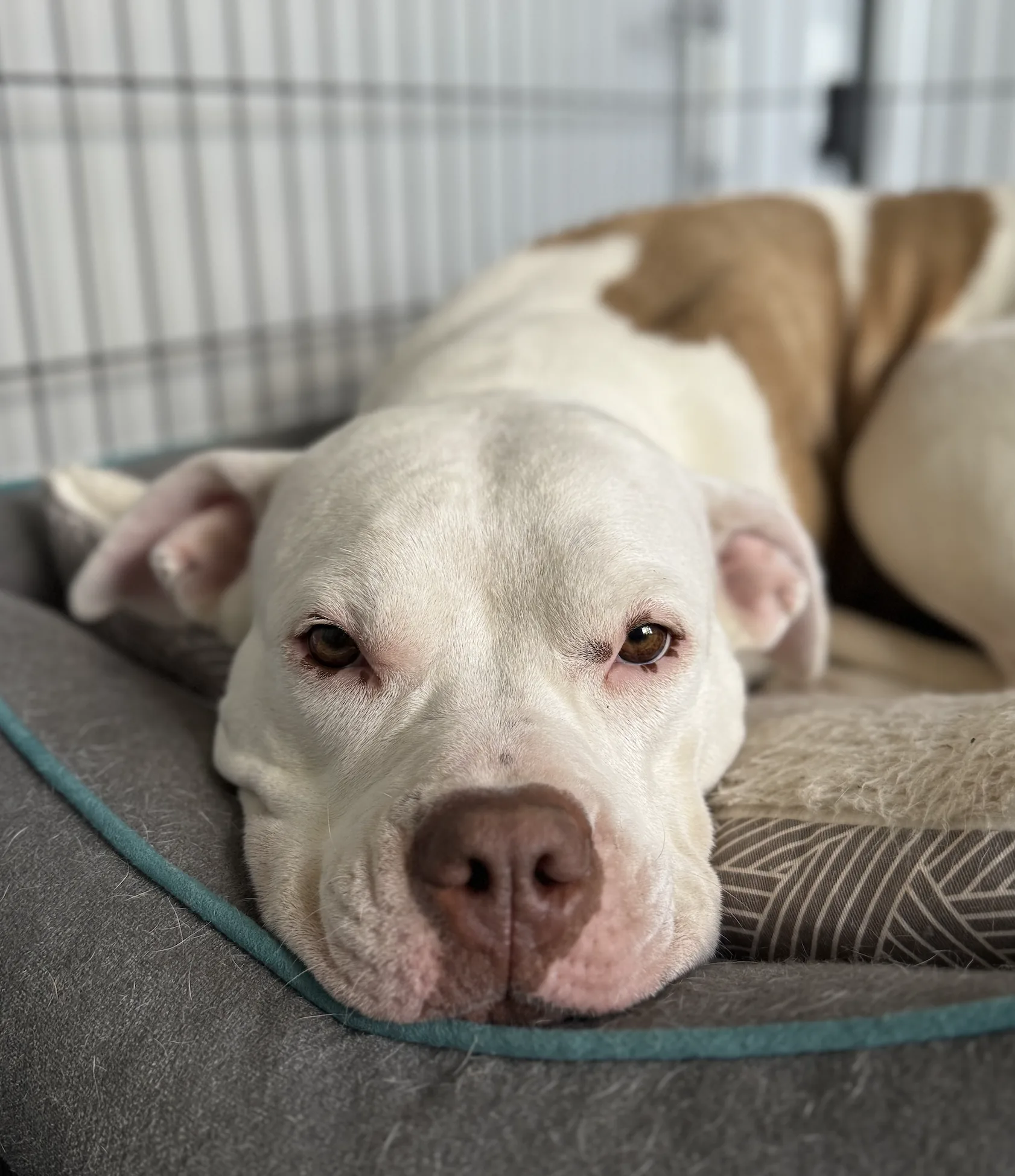A young adult pausing for a quiet moment of reflection